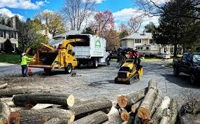 Trusted Richmond, TX  Tree Services Experts